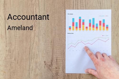 Accountant in Ameland