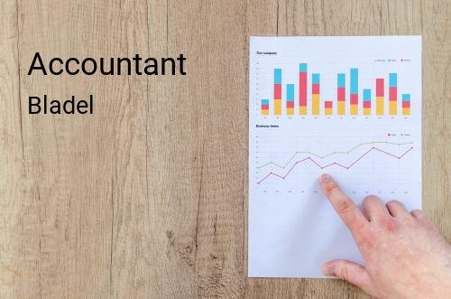 Accountant in Bladel