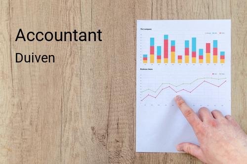 Accountant in Duiven