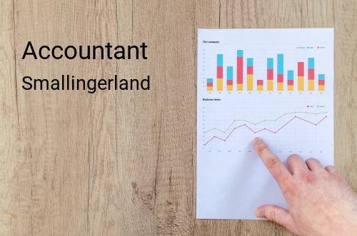 Accountant in Smallingerland