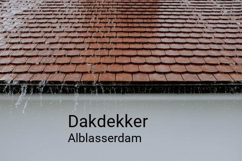 Dakdekker in Alblasserdam