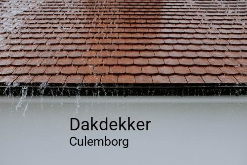 Dakdekker in Culemborg