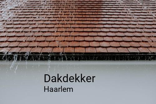Dakdekker in Haarlem