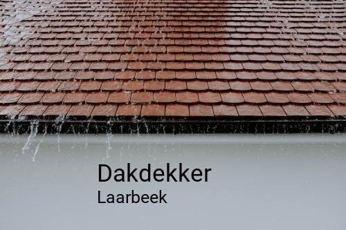 Dakdekker in Laarbeek