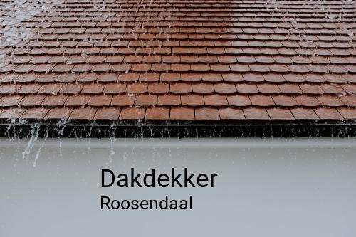 Dakdekker in Roosendaal