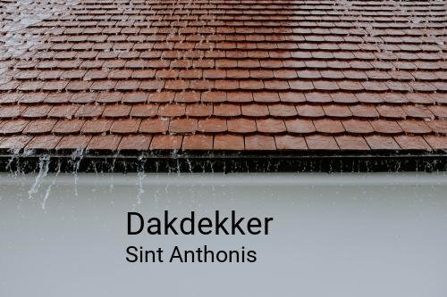 Dakdekker in Sint Anthonis