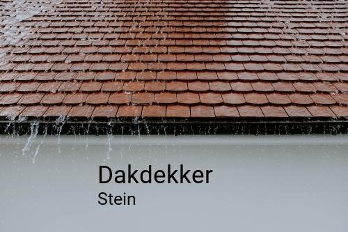 Dakdekker in Stein