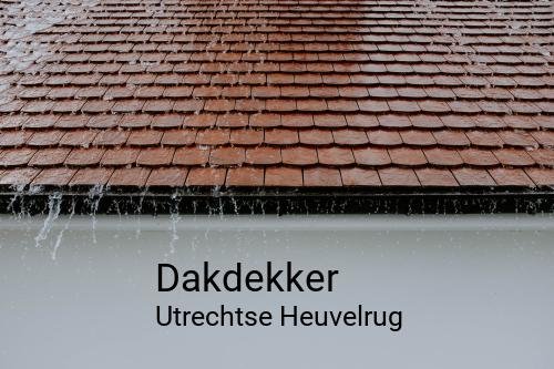 Dakdekker in Utrechtse Heuvelrug