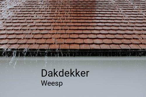 Dakdekker in Weesp