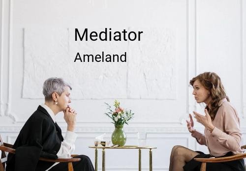 Mediator in Ameland