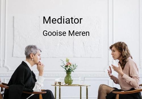 Mediator in Gooise Meren