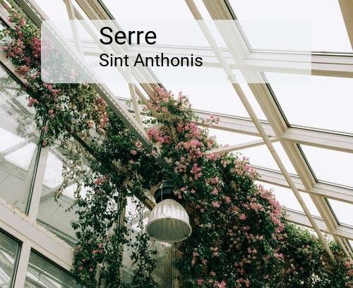 Serre in Sint Anthonis