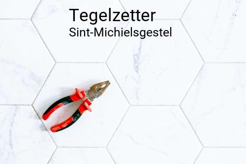 Tegelzetter in Sint-Michielsgestel