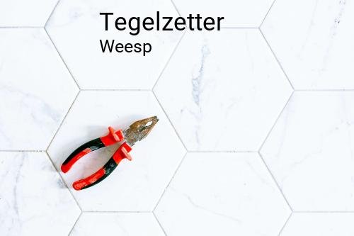 Tegelzetter in Weesp
